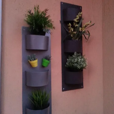 Apartment Stefi's House *